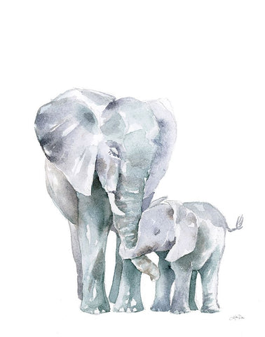 Mama Elephant on White White Modern Wood Framed Art Print with Double Matting by Pete, Katrina