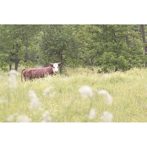 Summer Farm II White Modern Wood Framed Art Print by Schlabach, Sue