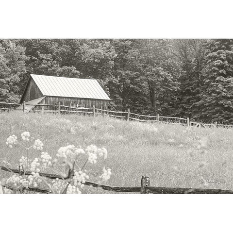 Summer Farm I BW Gold Ornate Wood Framed Art Print with Double Matting by Schlabach, Sue