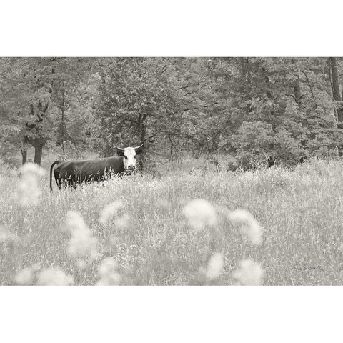 Summer Farm II BW Gold Ornate Wood Framed Art Print with Double Matting by Schlabach, Sue