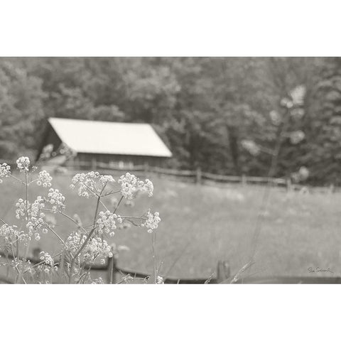 Summer Farm III BW White Modern Wood Framed Art Print by Schlabach, Sue