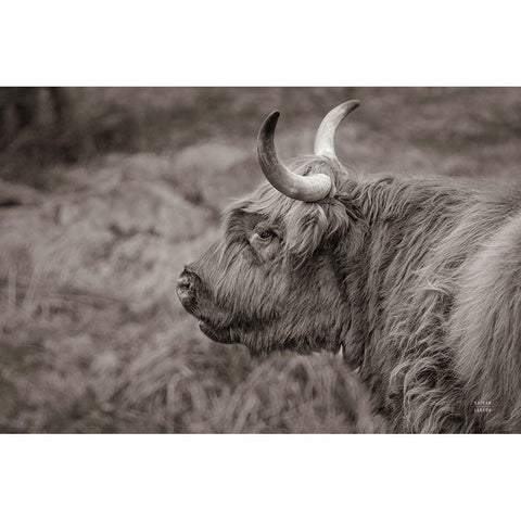 Highland Cow on Watch Gold Ornate Wood Framed Art Print with Double Matting by Larson, Nathan