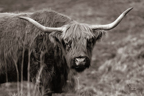 Highland Spring White Modern Wood Framed Art Print with Double Matting by Larson, Nathan