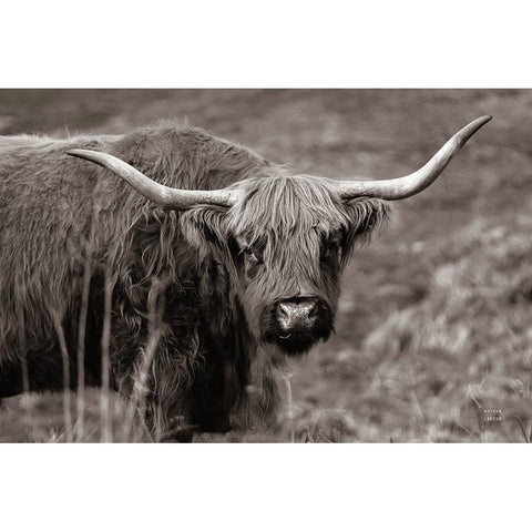 Highland Spring Black Modern Wood Framed Art Print by Larson, Nathan