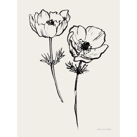 Ink Anemones I Black Black Modern Wood Framed Art Print by Miller, Sara Zieve