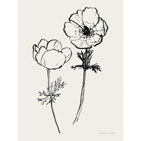 Ink Anemones II Black Black Modern Wood Framed Art Print with Double Matting by Miller, Sara Zieve