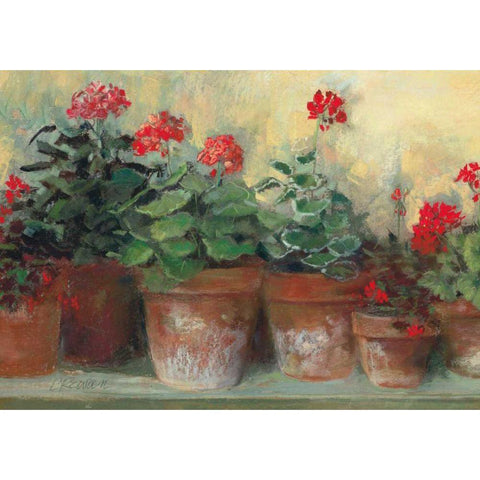 Kathleens Geraniums Crop Black Modern Wood Framed Art Print with Double Matting by Rowan, Carol