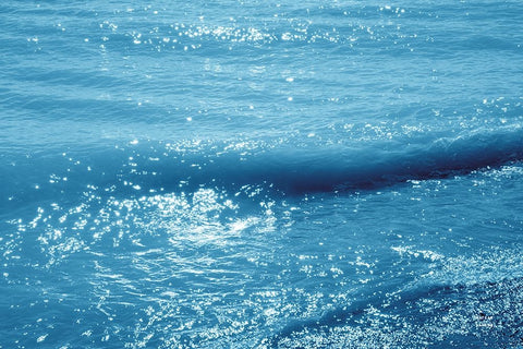 Sparkling Waters I Black Ornate Wood Framed Art Print with Double Matting by Larson, Nathan