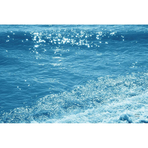 Sparkling Waters II Gold Ornate Wood Framed Art Print with Double Matting by Larson, Nathan