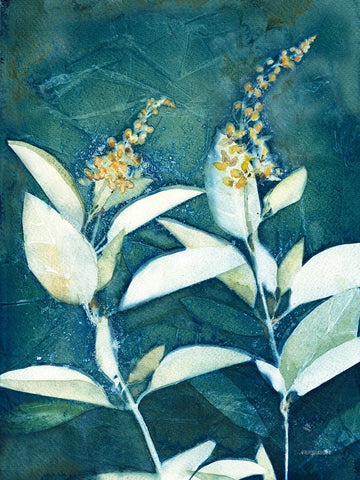 Shower of Gold IV White Modern Wood Framed Art Print with Double Matting by Ferguson, Kathy