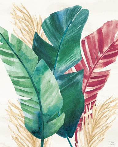 The Tropics II White Modern Wood Framed Art Print with Double Matting by June, Dina