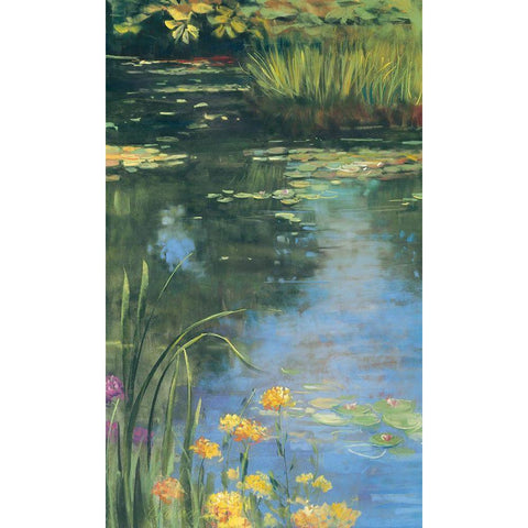 Garden Pond II Black Modern Wood Framed Art Print by Rowan, Carol