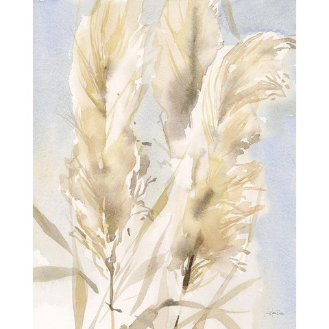 Pampas Grasses White Modern Wood Framed Art Print by Pete, Katrina