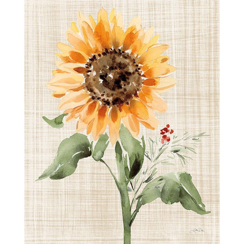 Autumn Ramble III Linen White Modern Wood Framed Art Print by Pete, Katrina