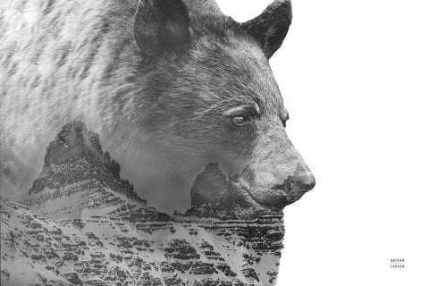 Mountain Bear White Modern Wood Framed Art Print with Double Matting by Larson, Nathan