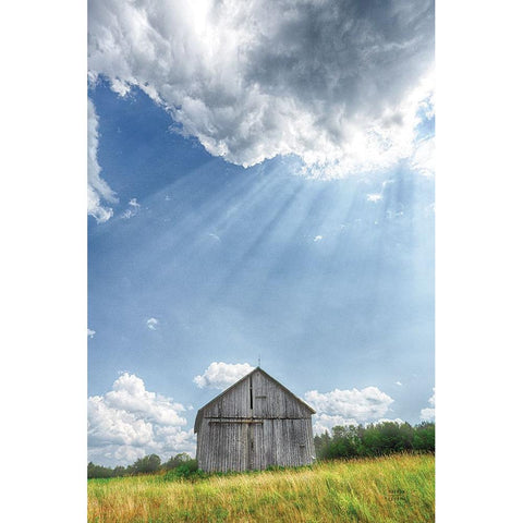 Barn Rays Black Modern Wood Framed Art Print with Double Matting by Larson, Nathan