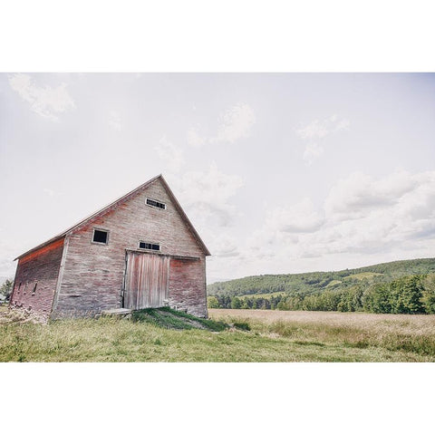 Barn With a View Gold Ornate Wood Framed Art Print with Double Matting by Larson, Nathan