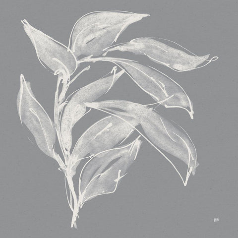 Branch I Gray Black Modern Wood Framed Art Print by Paschke, Chris