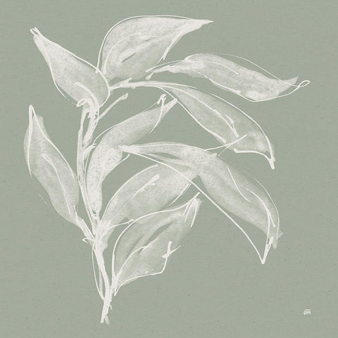 Branch I Sage White Modern Wood Framed Art Print by Paschke, Chris