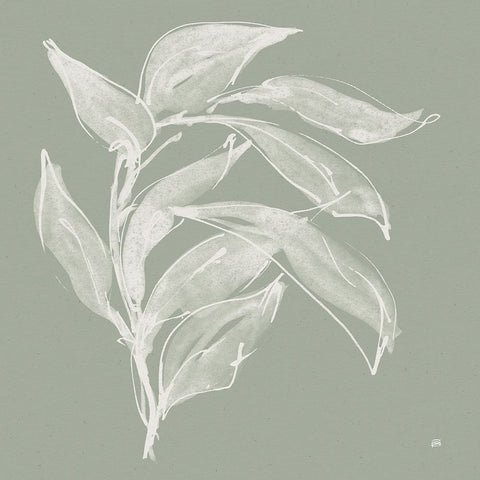 Branch I Sage Black Ornate Wood Framed Art Print with Double Matting by Paschke, Chris