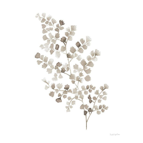 Maidenhair Fern Khaki Black Modern Wood Framed Art Print with Double Matting by Charro, Mercedes Lopez