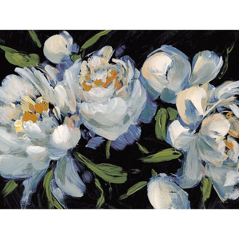 Peony Season II Black Modern Wood Framed Art Print by Pete, Katrina