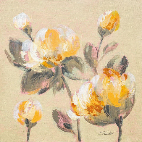 Blooming Peony II White Modern Wood Framed Art Print by Vassileva, Silvia