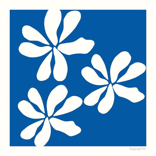 Image Only