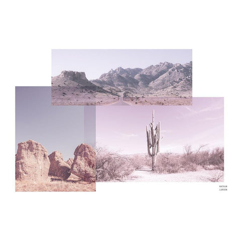 Desert Collage v2 Gold Ornate Wood Framed Art Print with Double Matting by Larson, Nathan