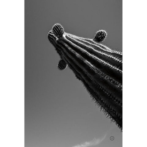 King II v2 White Modern Wood Framed Art Print by Larson, Nathan