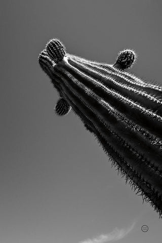 King II v2 White Modern Wood Framed Art Print with Double Matting by Larson, Nathan