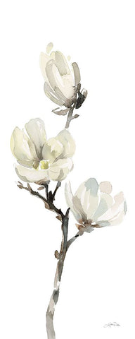 White Magnolia I Panel White Modern Wood Framed Art Print with Double Matting by Pete, Katrina