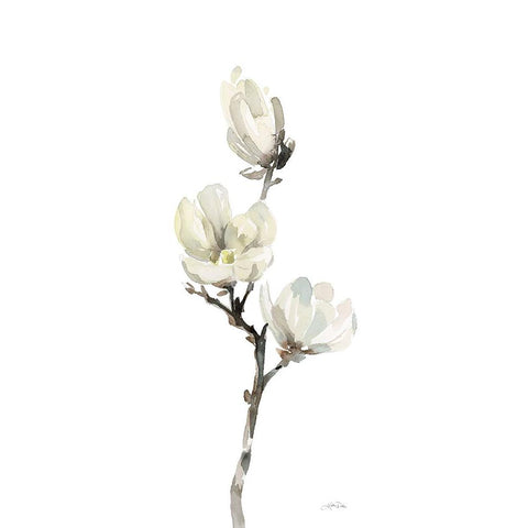 White Magnolia I Panel White Modern Wood Framed Art Print by Pete, Katrina