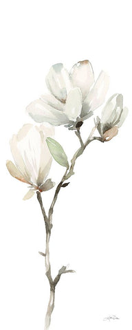 White Magnolia II Panel White Modern Wood Framed Art Print with Double Matting by Pete, Katrina