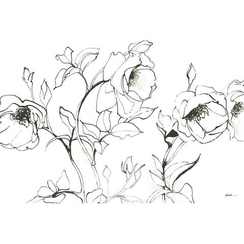 Sketch of Roses White Modern Wood Framed Art Print by Novak, Shirley