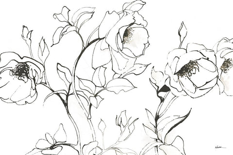 Sketch of Roses White Modern Wood Framed Art Print with Double Matting by Novak, Shirley