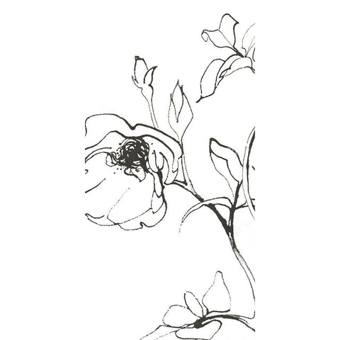 Sketch of Roses Panel I White Modern Wood Framed Art Print by Novak, Shirley