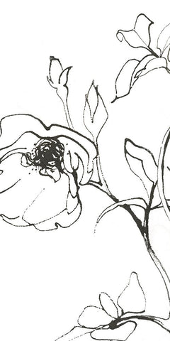 Sketch of Roses Panel I Black Ornate Wood Framed Art Print with Double Matting by Novak, Shirley