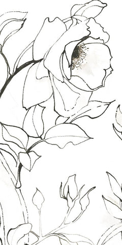 Sketch of Roses Panel II Black Ornate Wood Framed Art Print with Double Matting by Novak, Shirley