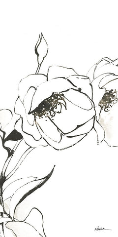 Sketch of Roses Panel III White Modern Wood Framed Art Print with Double Matting by Novak, Shirley