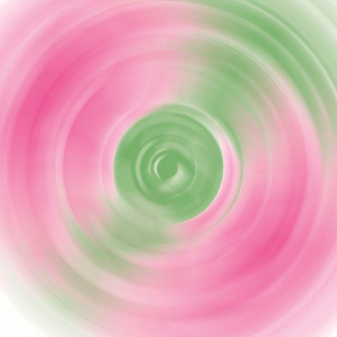 Twirling Garden II Black Modern Wood Framed Art Print by Wild Apple Portfolio