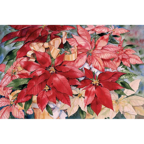 Poinsettia Black Modern Wood Framed Art Print with Double Matting by McKenna, Kathleen Parr