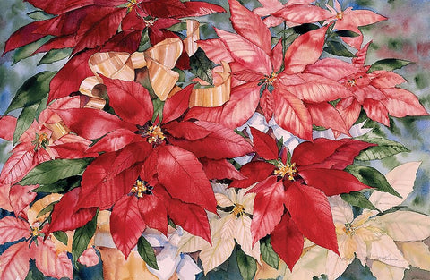 Poinsettia White Modern Wood Framed Art Print with Double Matting by McKenna, Kathleen Parr