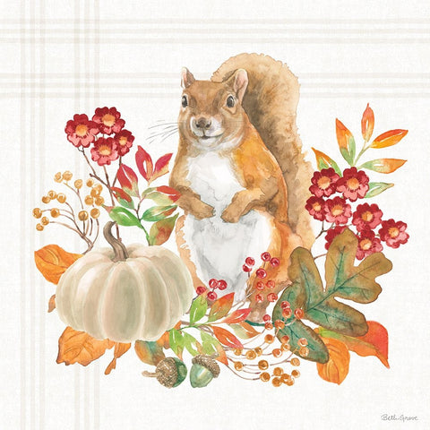 Wooded Harvest III White Modern Wood Framed Art Print with Double Matting by Grove, Beth