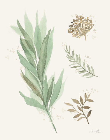 Leaf and Stem I Black Ornate Wood Framed Art Print with Double Matting by Horn, Laura