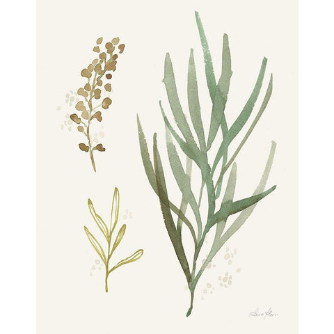 Leaf and Stem III Black Modern Wood Framed Art Print with Double Matting by Horn, Laura