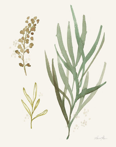 Leaf and Stem III White Modern Wood Framed Art Print with Double Matting by Horn, Laura