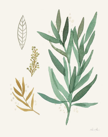 Leaf and Stem IV White Modern Wood Framed Art Print with Double Matting by Horn, Laura