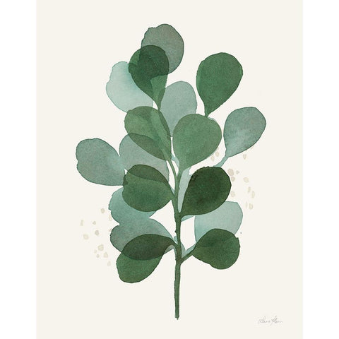 Leaf and Stem V Black Modern Wood Framed Art Print with Double Matting by Horn, Laura