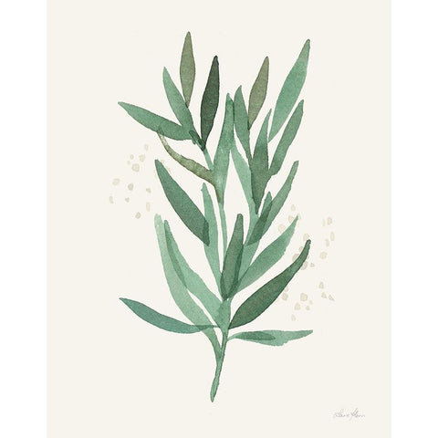 Leaf and Stem VI Black Modern Wood Framed Art Print by Horn, Laura